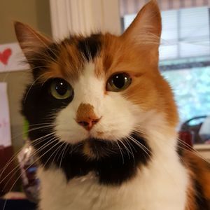 Meet your Posher, Sharon